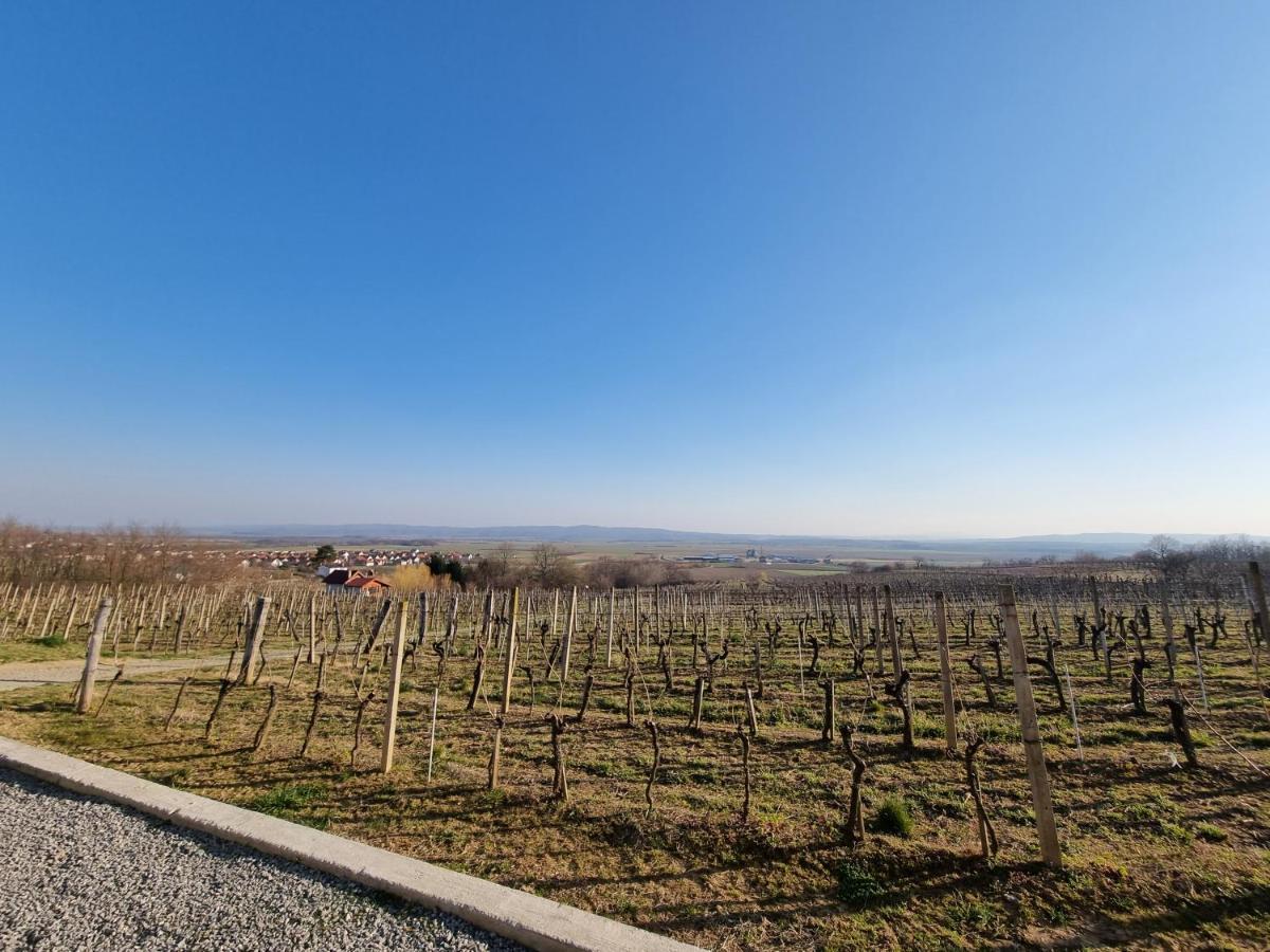 Kuca Za Odmor Baron Vila Kutjevo Exterior foto