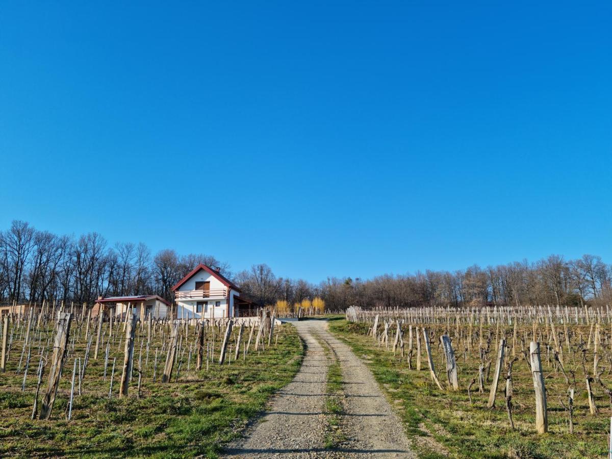 Kuca Za Odmor Baron Vila Kutjevo Exterior foto