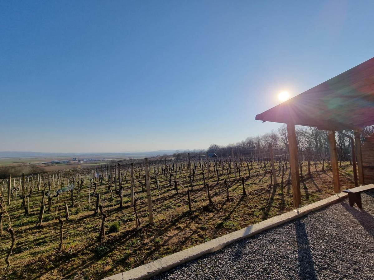 Kuca Za Odmor Baron Vila Kutjevo Exterior foto