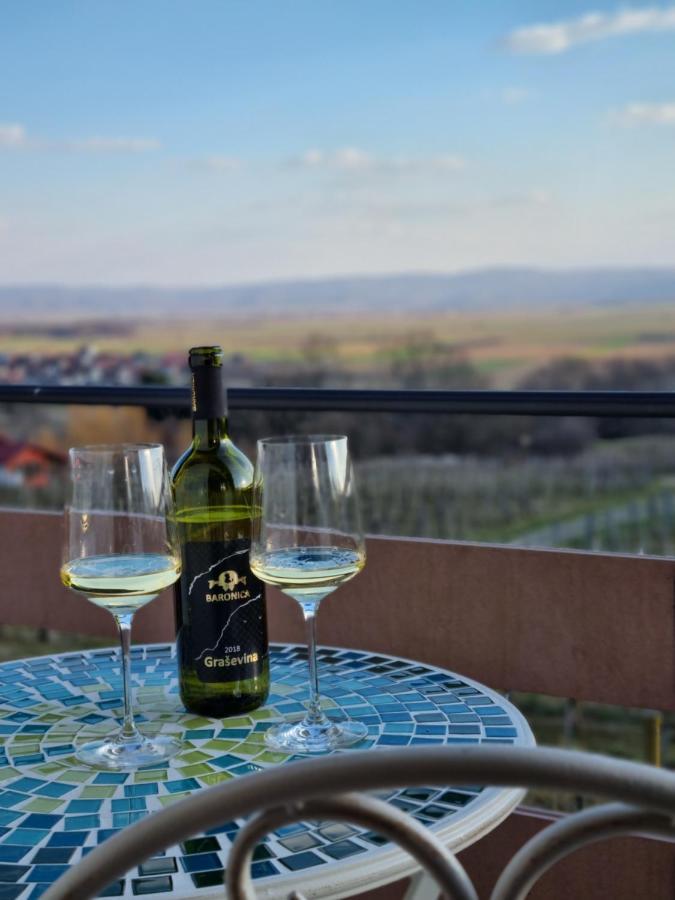 Kuca Za Odmor Baron Vila Kutjevo Exterior foto