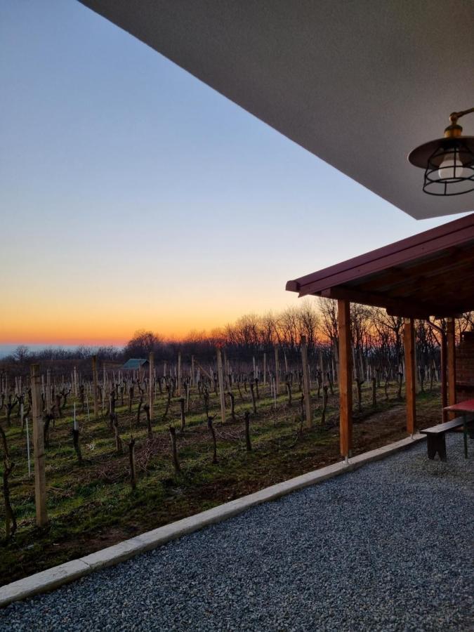 Kuca Za Odmor Baron Vila Kutjevo Exterior foto
