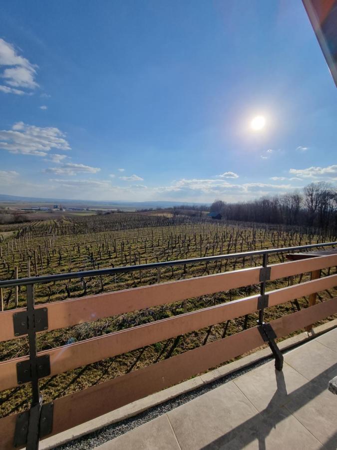 Kuca Za Odmor Baron Vila Kutjevo Exterior foto