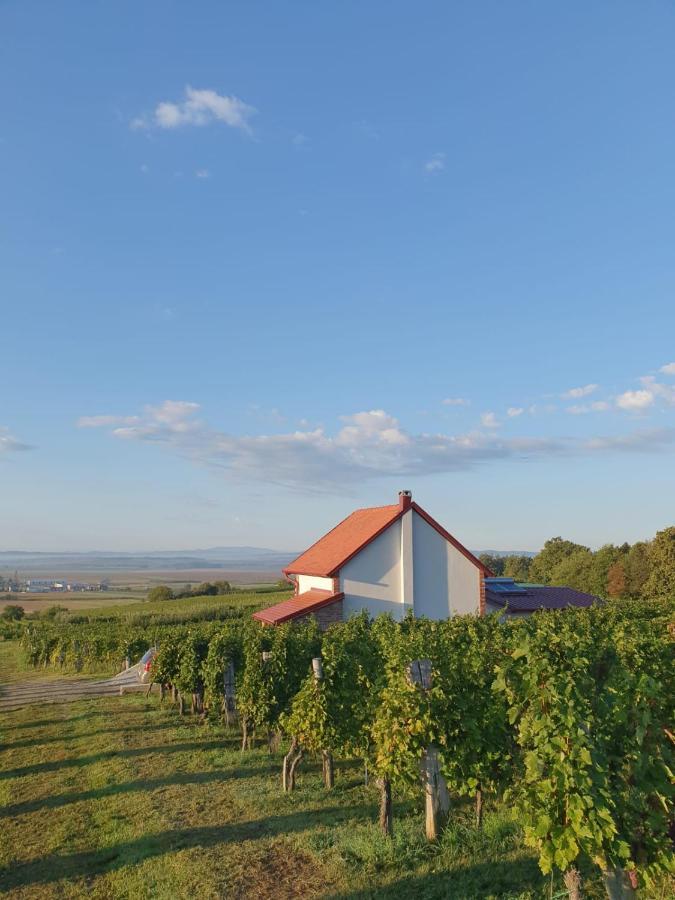 Kuca Za Odmor Baron Vila Kutjevo Exterior foto
