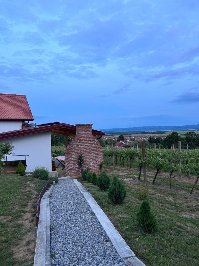 Kuca Za Odmor Baron Vila Kutjevo Exterior foto